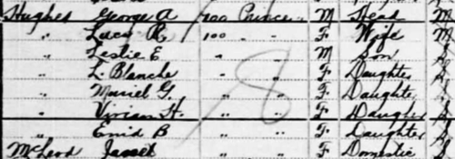 1901 Census Clip