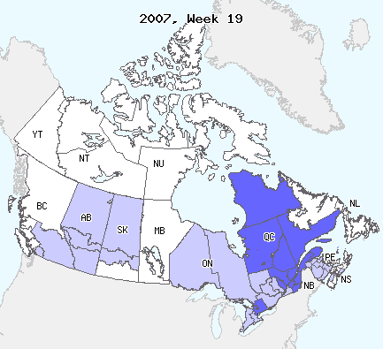 A Year of the Flu in Canada