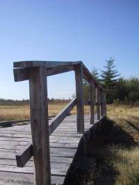 Bridge at Maple Plains Agro-Environmental Demonstration Project