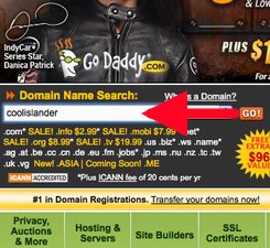 GoDaddy.com Screen Shot