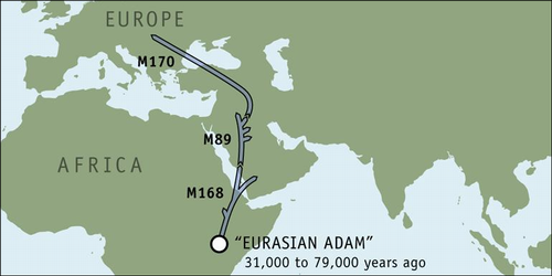 The M170 Journey