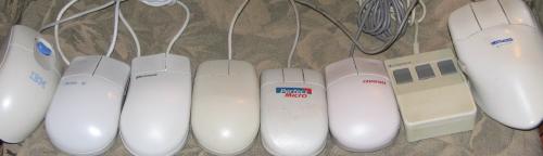 My Many Mice