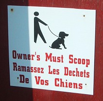 Owner's Must Scoop