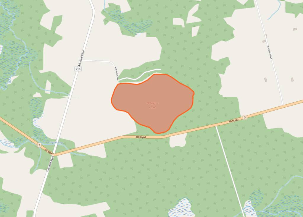 OpenStreetMap detail showing O'Keefes Lake in Queens County.