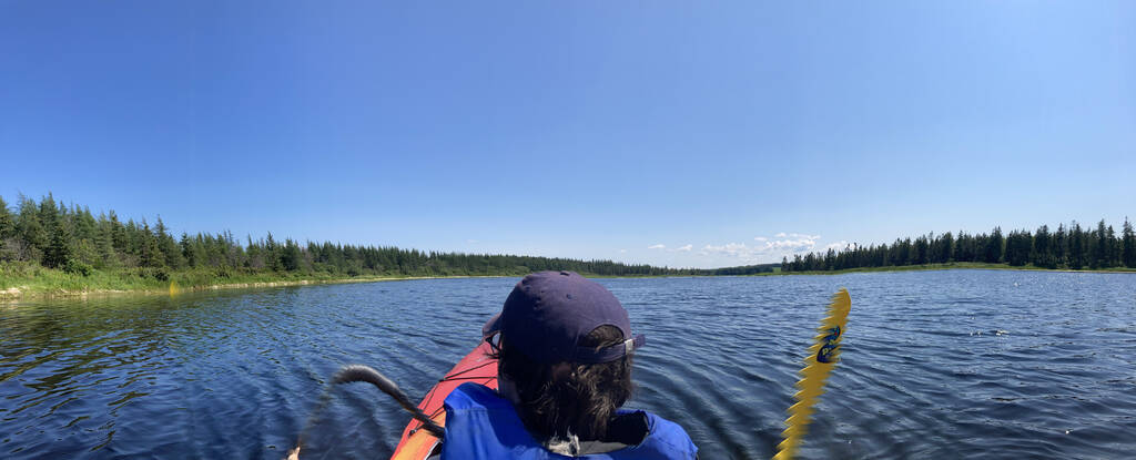 Olivia in the front of a double kayak, looking up the Midgell River.