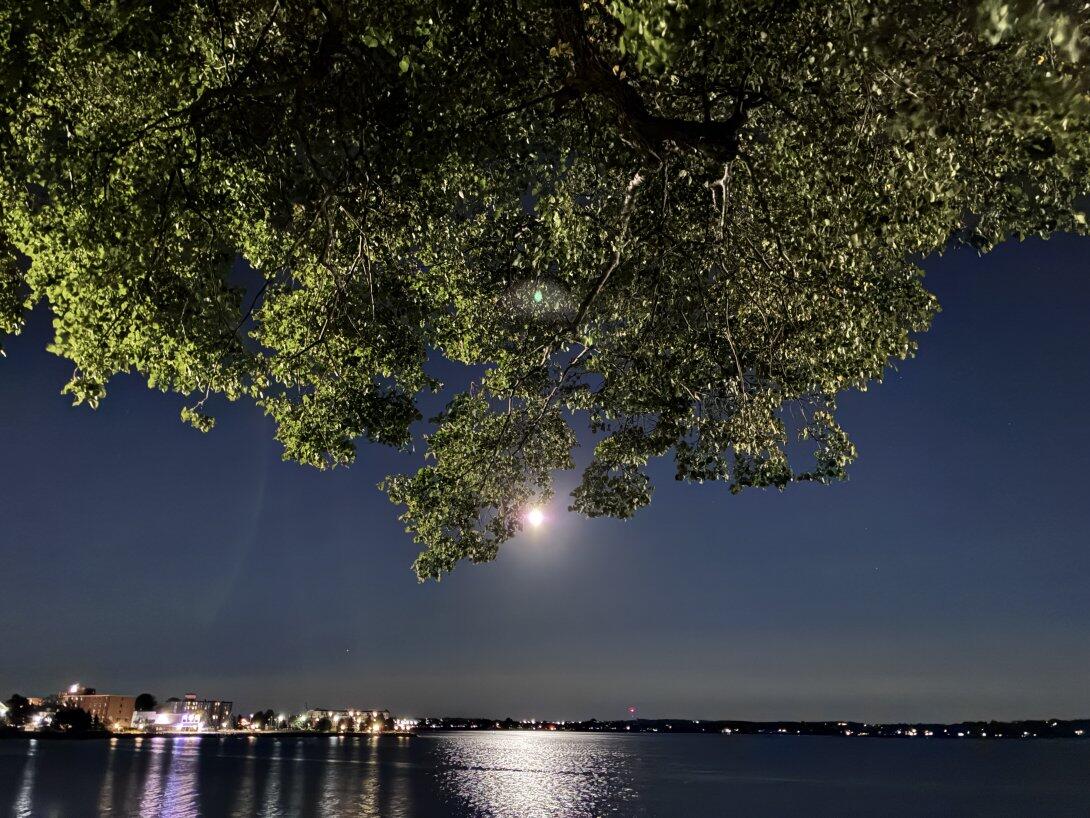 Moon Over Charlottetown Harbour