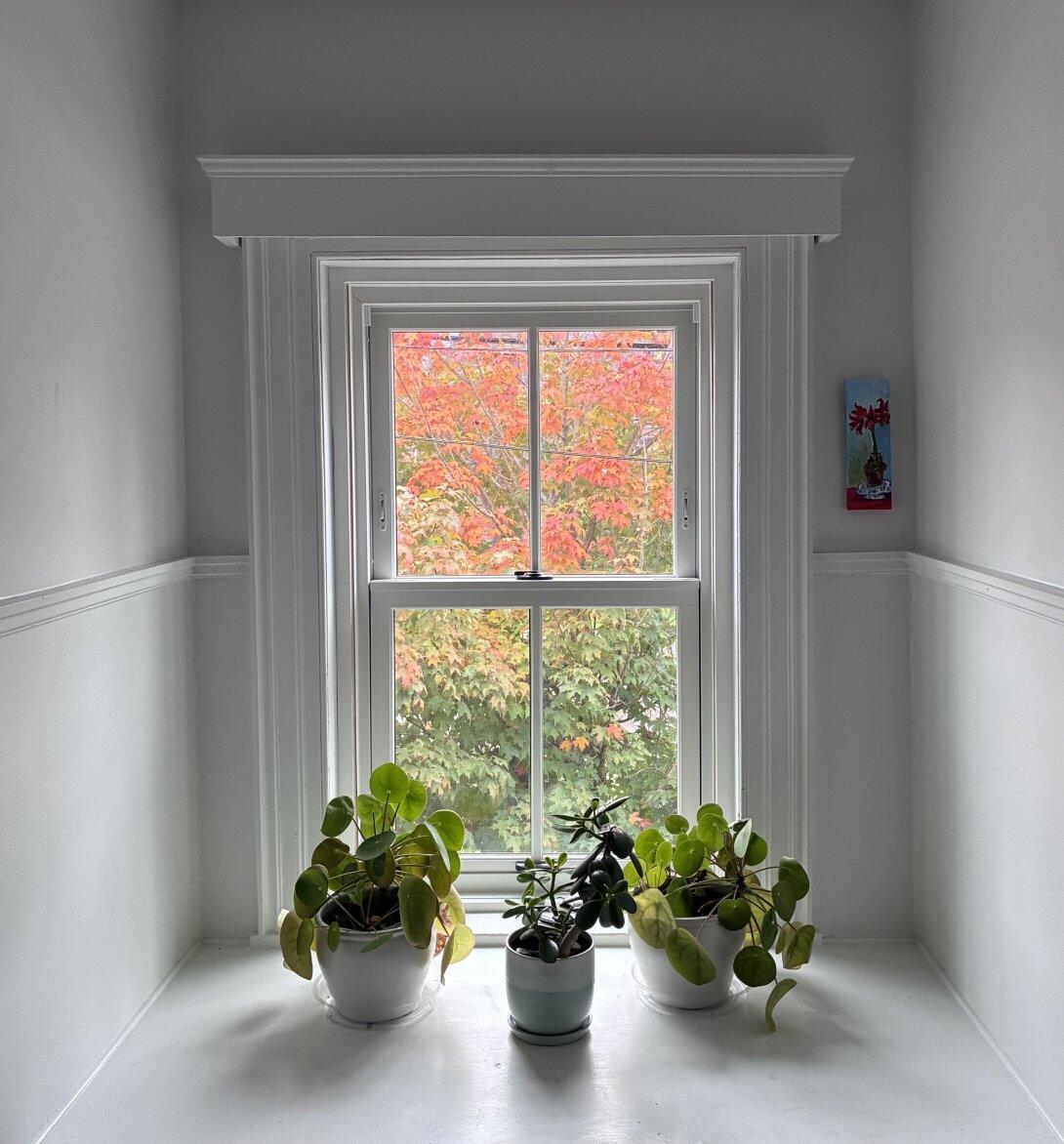 Autumn Through the Upstairs Hallway