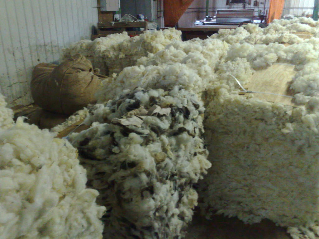 Raw Fleece