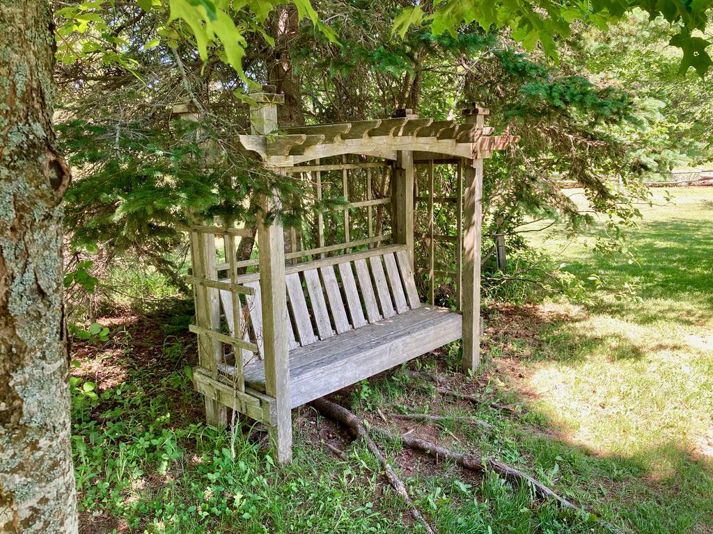 A bench in a shade grove at the PEI Preserve Company.