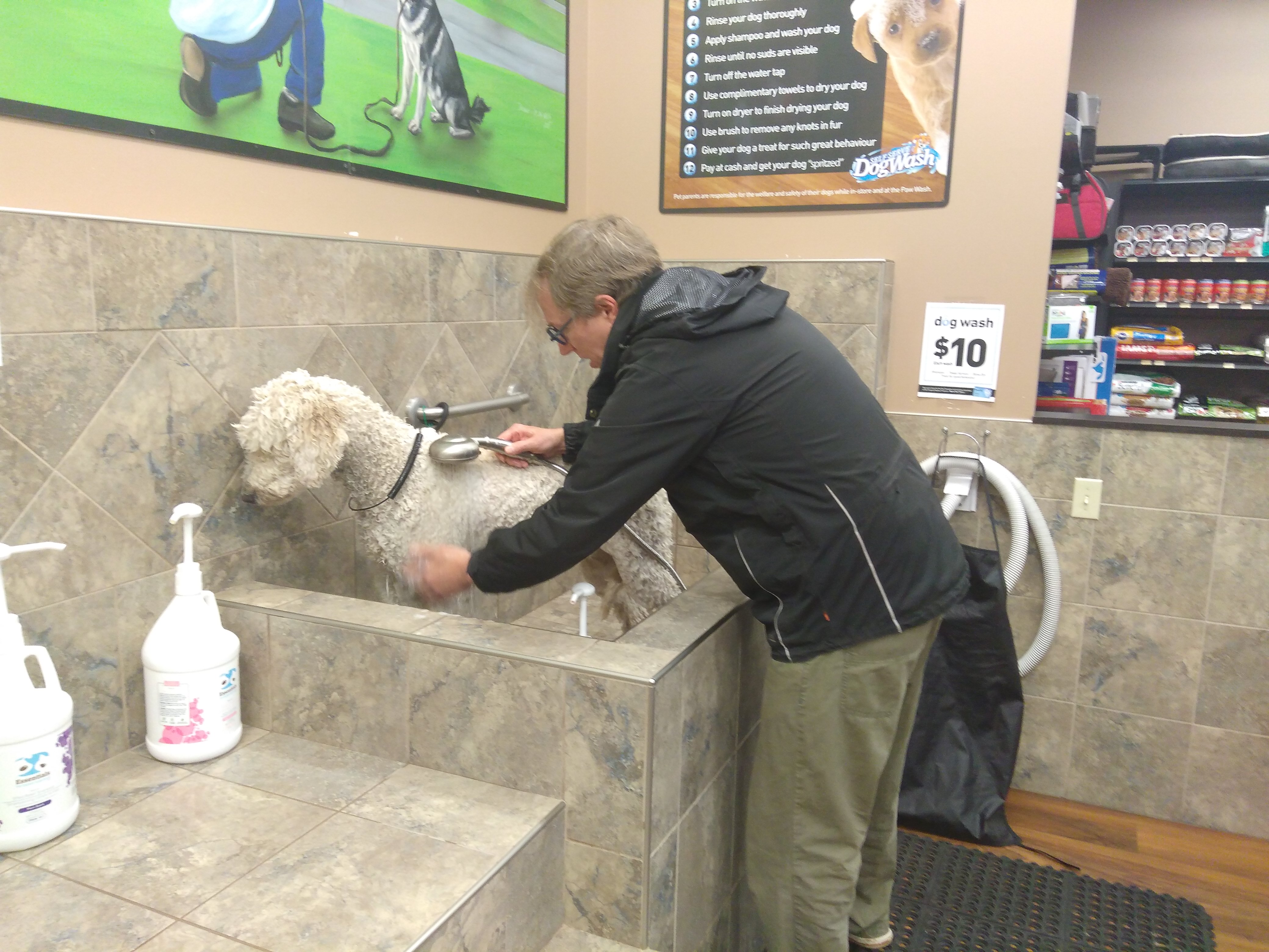 DIY Dog Washing at Pet Valu ruk.ca