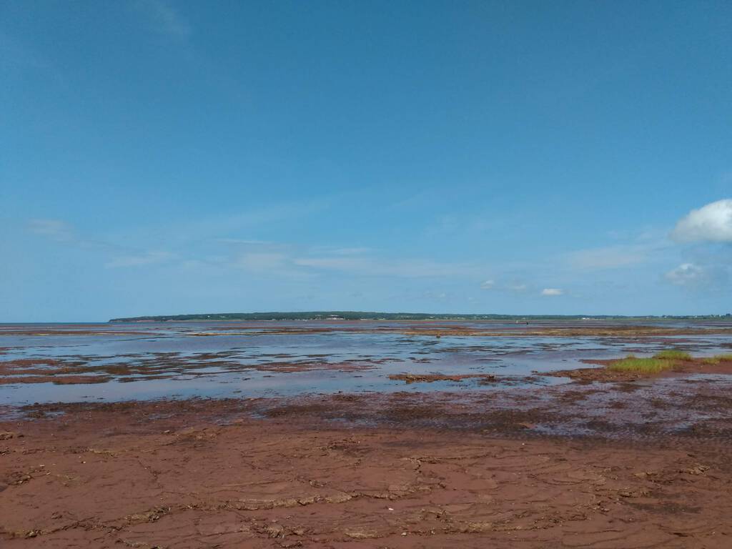 Photo of St. Peters Island in the distance from Rice Point.