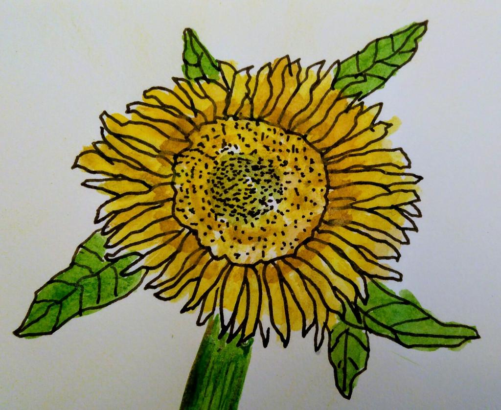 Watercolour Sunflower