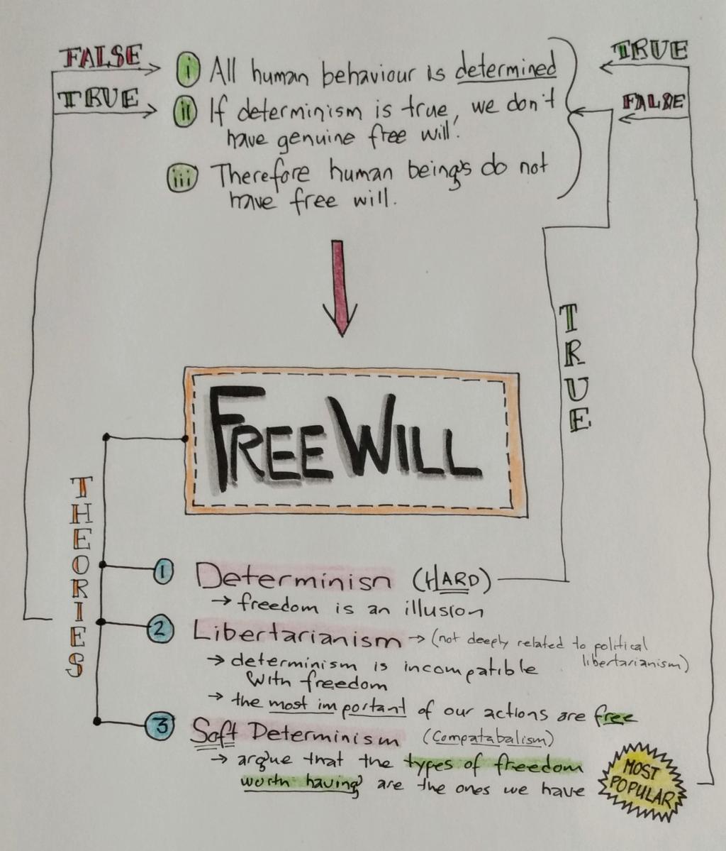 philosophy phd free will