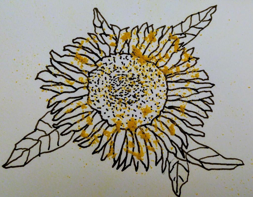 B&W Sunflower with Flower Dust