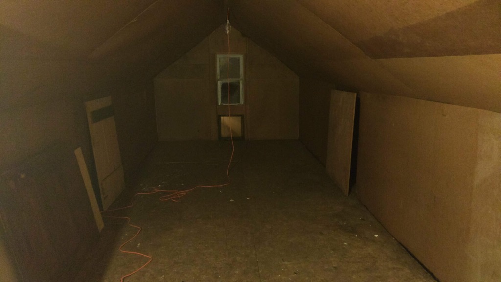 Photo of our attic once it was cleaned out