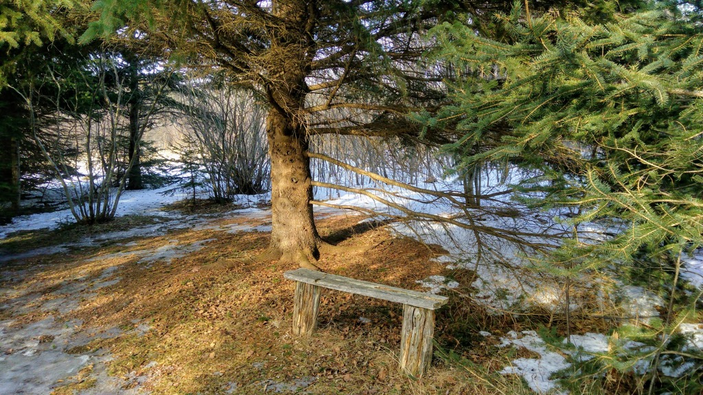 Photo of a bench on the Tryon River Trail
