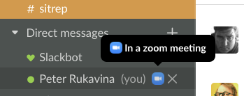 A detail from a screen shot showing my Slack status showing I'm in a Zoom meeting.